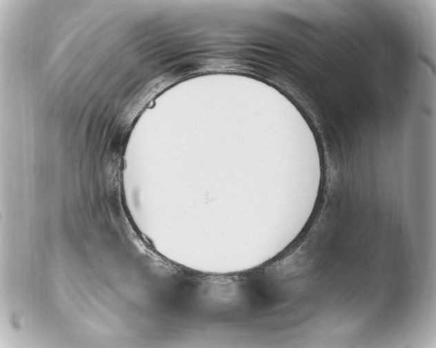 X0000103941049200810031318