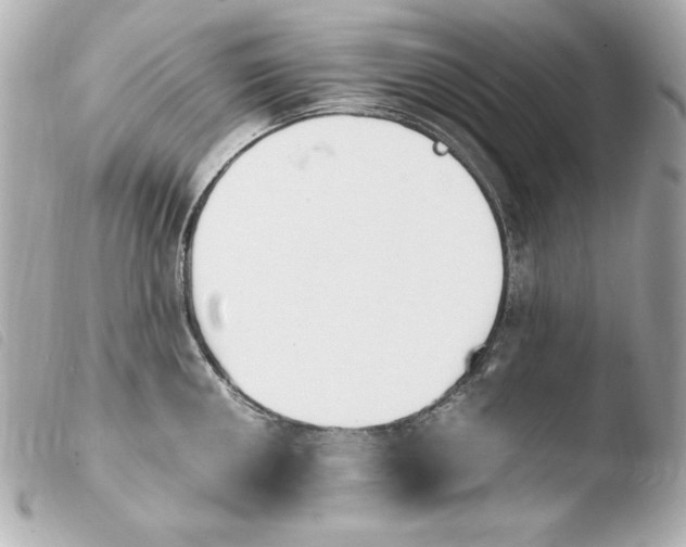 X0000103941050200810031318