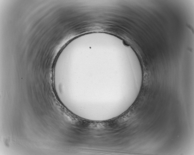 X0000103941051200810031318