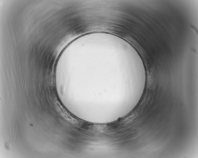 X0000103941052200810031318