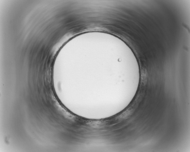 X0000103941054200810031318