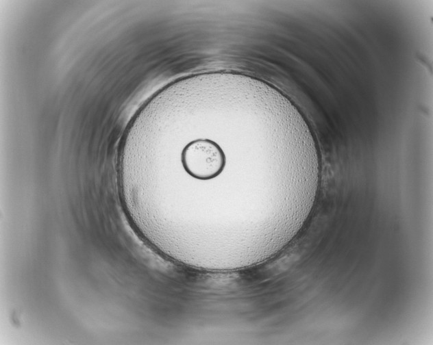 X0000103941055200810031318