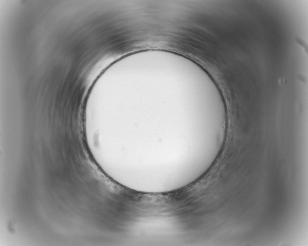 X0000103941056200810031318