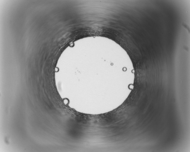 X0000103941057200810031317