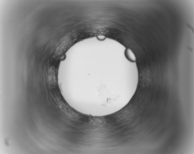 X0000103941058200810031317