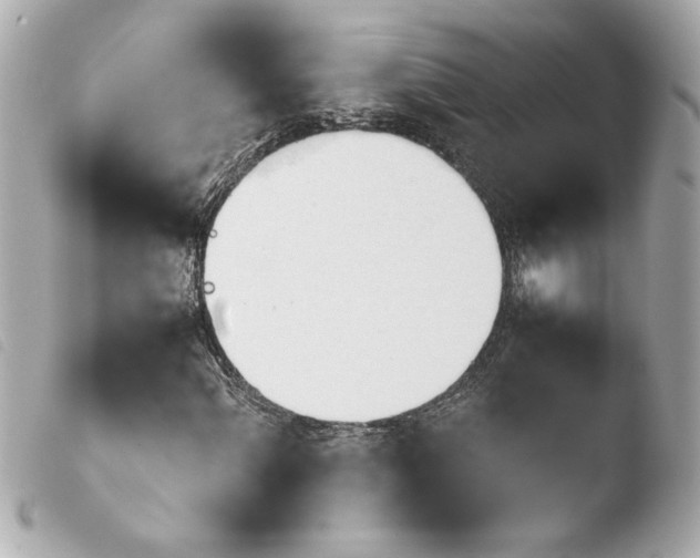 X0000103941060200810031317