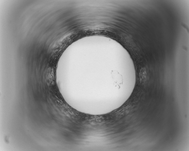 X0000103941062200810031317