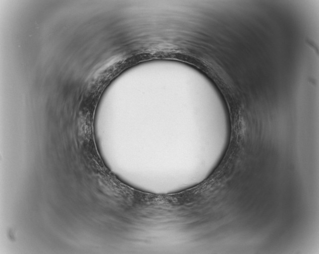 X0000103941063200810031317