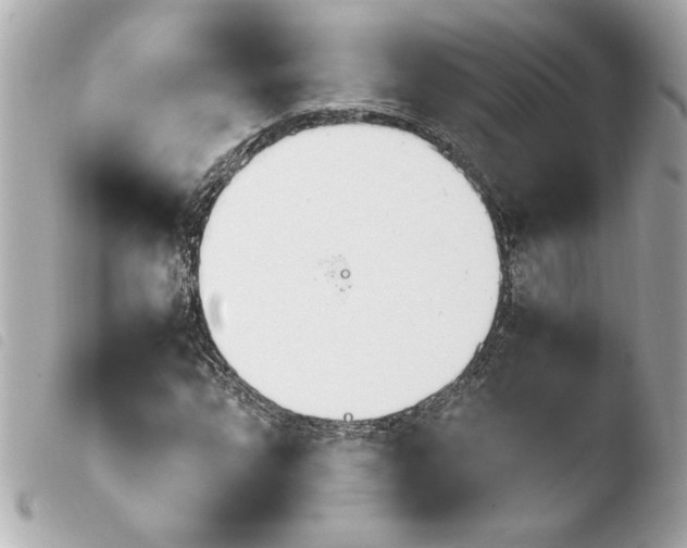 X0000103941064200810031317