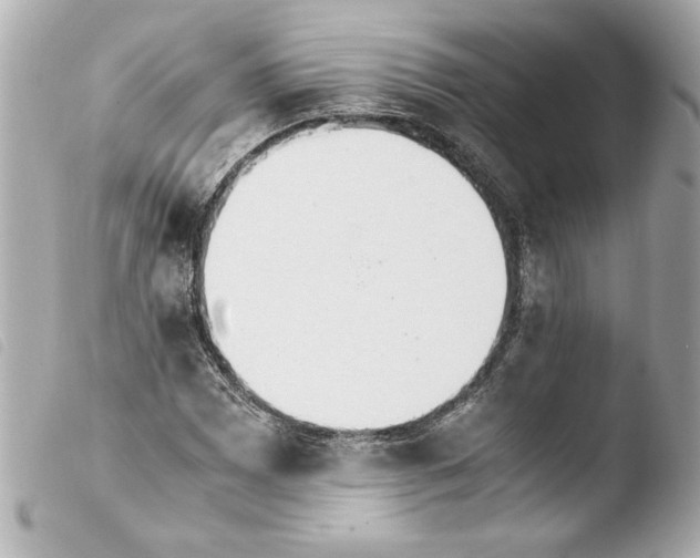 X0000103941065200810031317