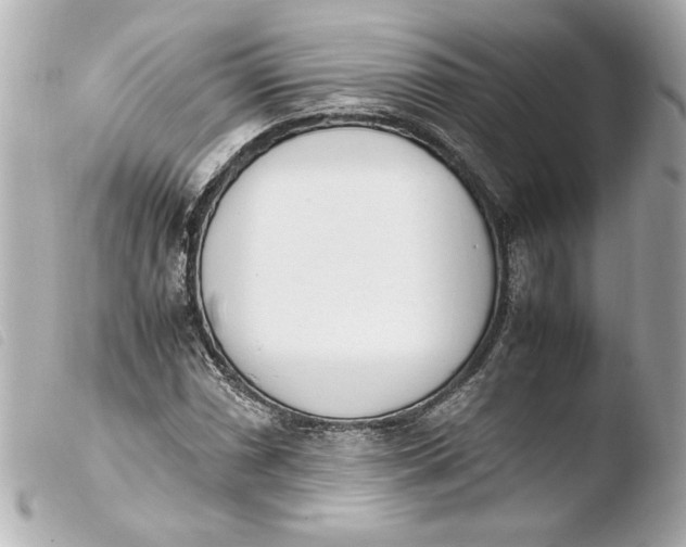 X0000103941066200810031317