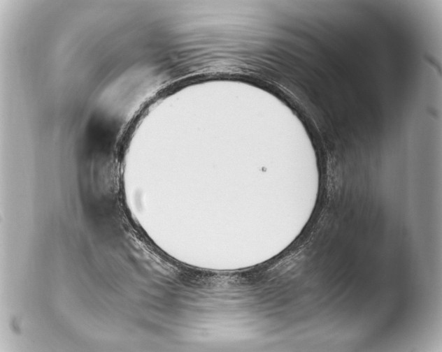 X0000103941067200810031317