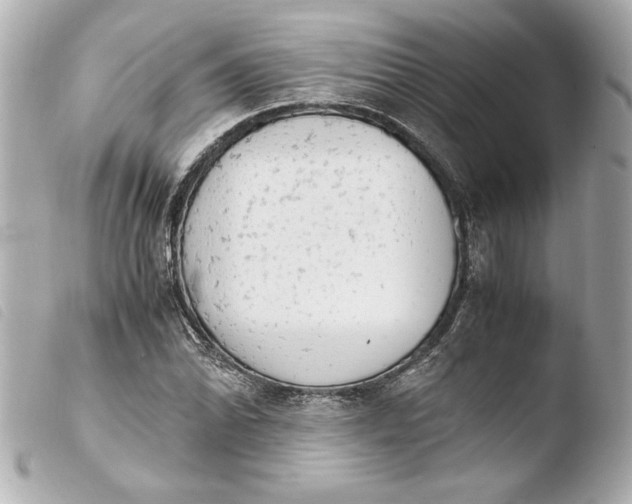 X0000103941070200810031317