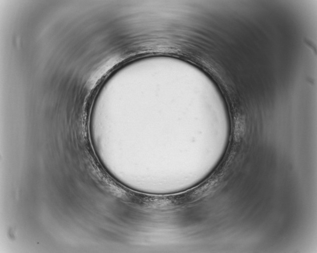 X0000103941071200810031317