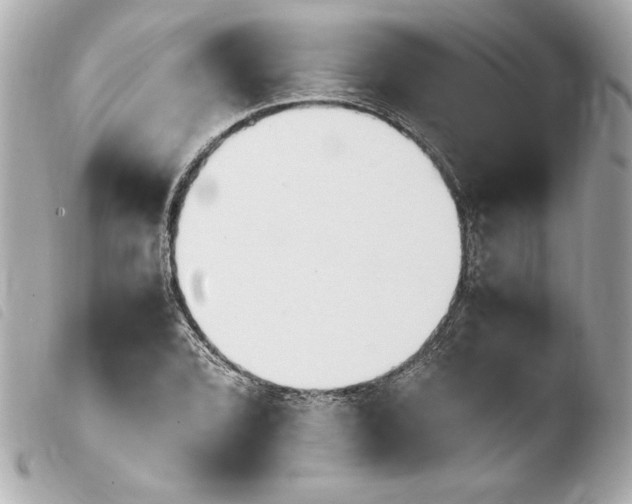 X0000103941072200810031317