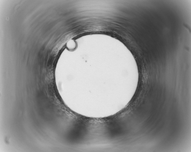 X0000103941073200810031317