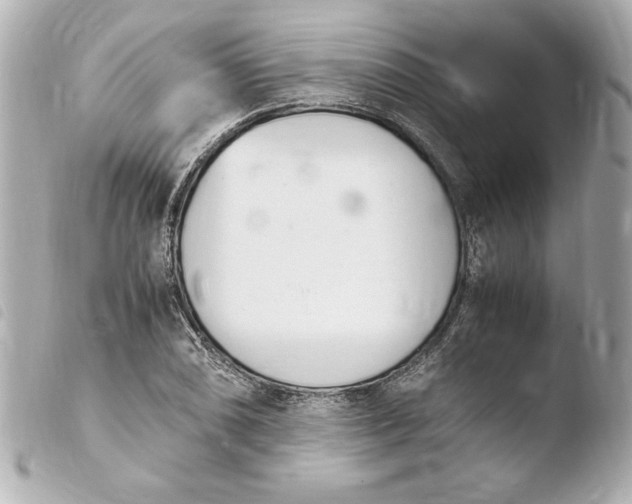 X0000103941074200810031317