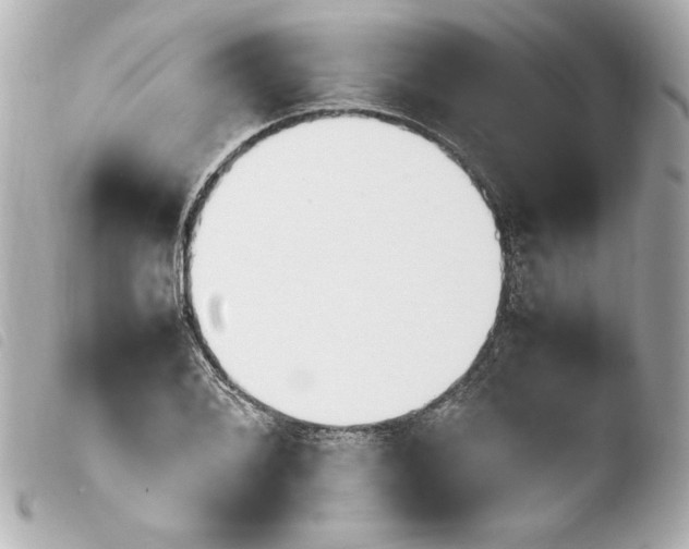 X0000103941076200810031317