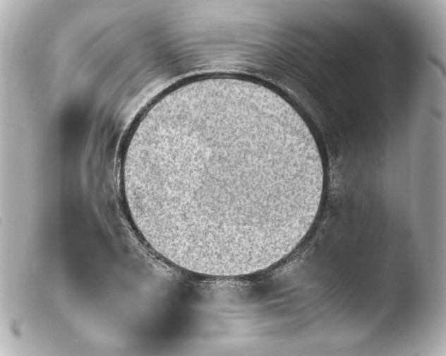 X0000103941077200810031317