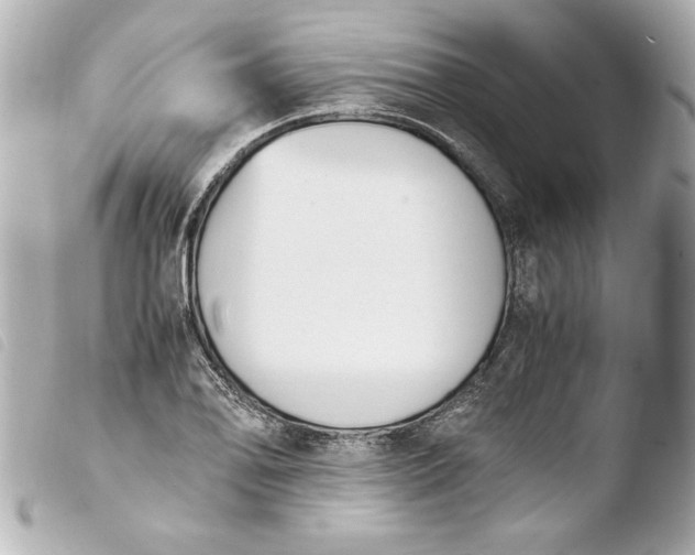 X0000103941078200810031317