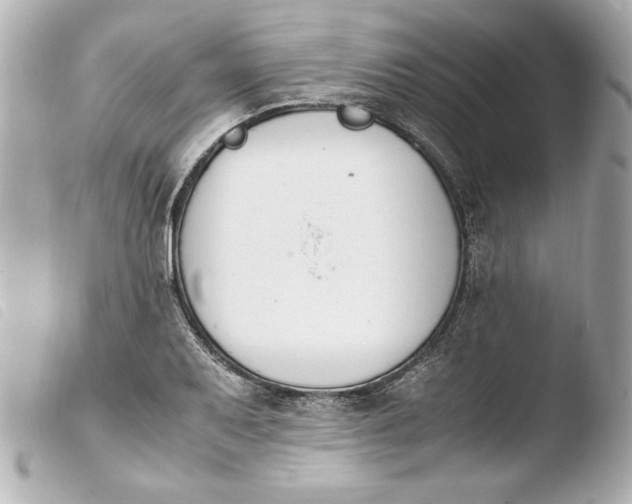 X0000103941079200810031317