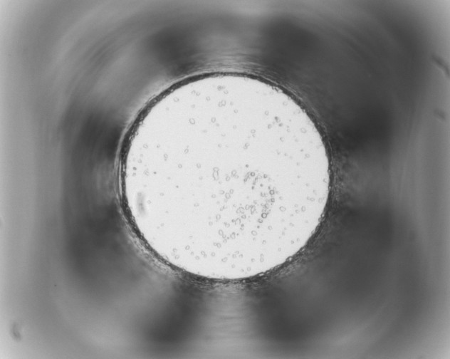 X0000103941080200810031317