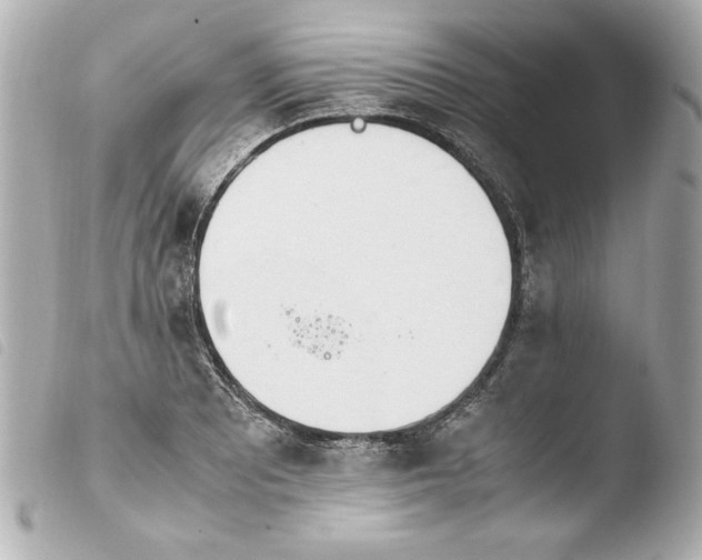 X0000103941081200810031317