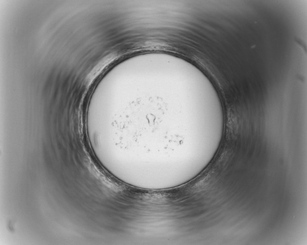 X0000103941082200810031317