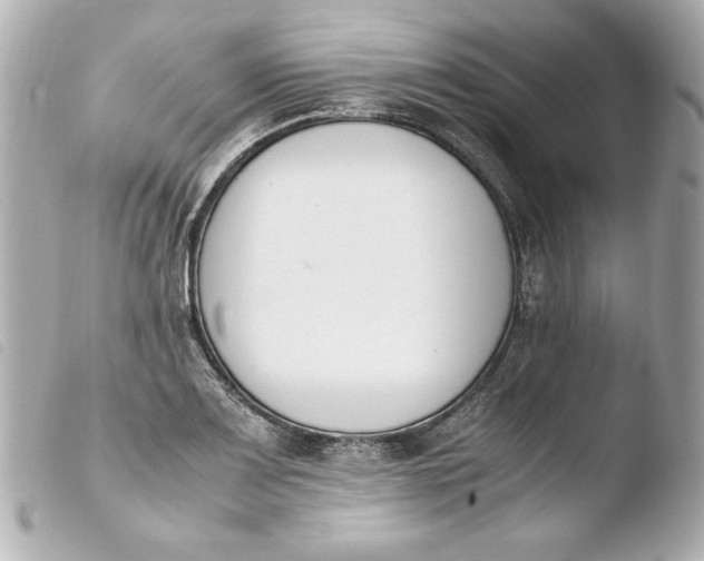 X0000103941083200810031317