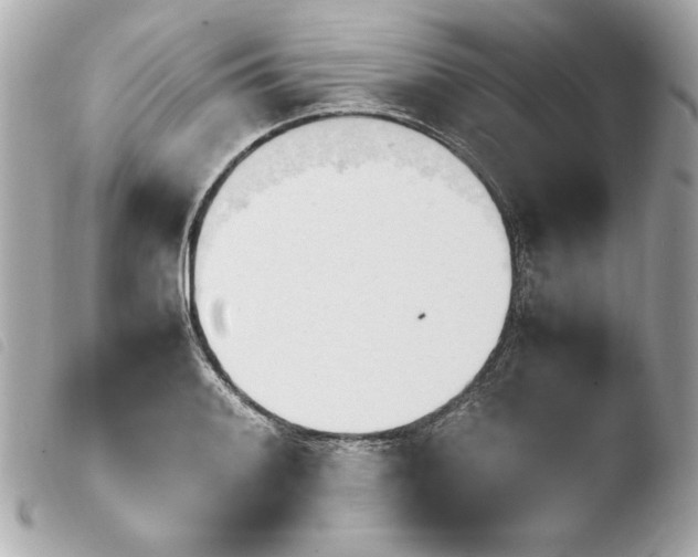 X0000103941084200810031317