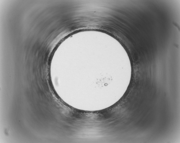 X0000103941085200810031317