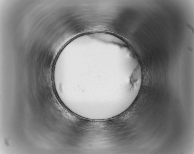 X0000103941086200810031317