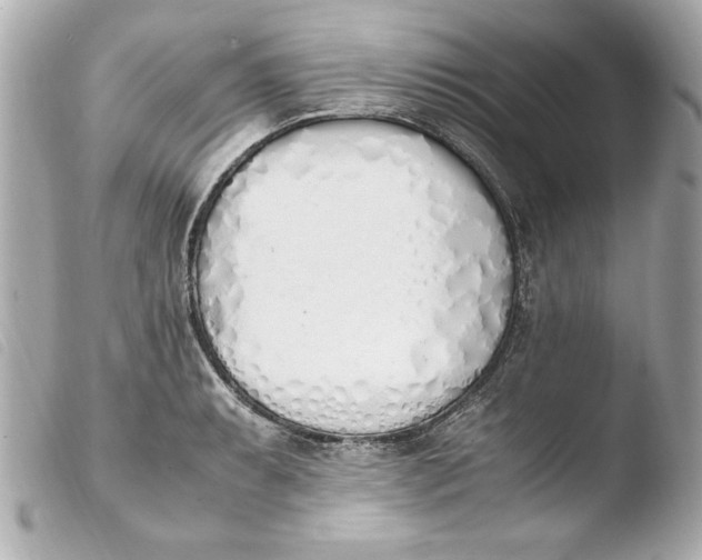 X0000103941087200810031317