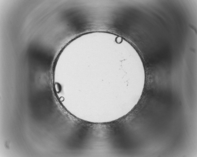 X0000103941088200810031317