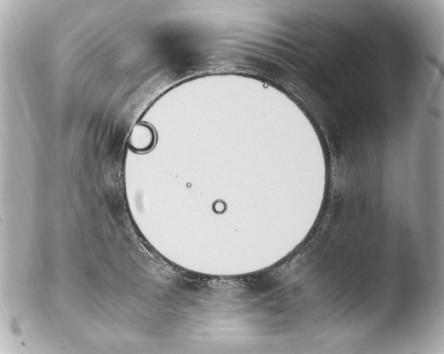 X0000103941089200810031317