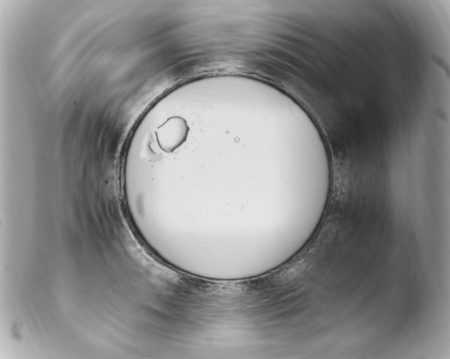 X0000103941090200810031317