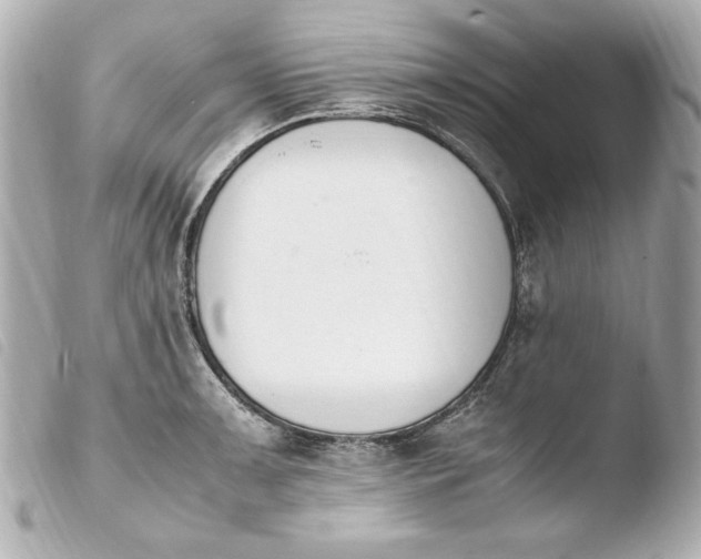 X0000103941091200810031316