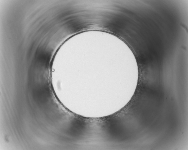 X0000103941092200810031316