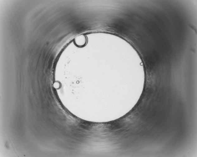 X0000103941093200810031316