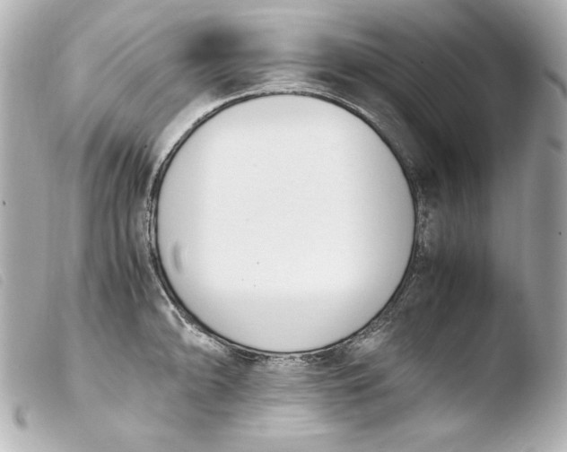 X0000103941094200810031316