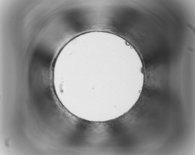 X0000103941096200810031316