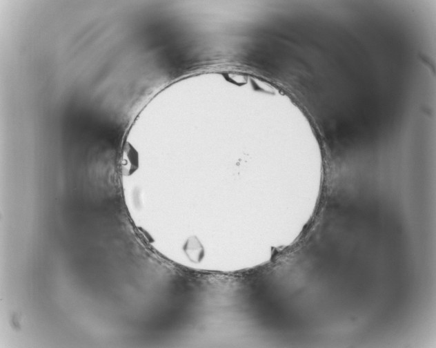 X0000103941097200810031316