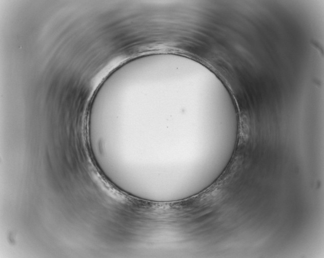 X0000103941098200810031316