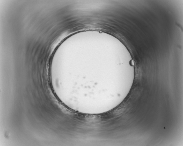 X0000103941099200810031316