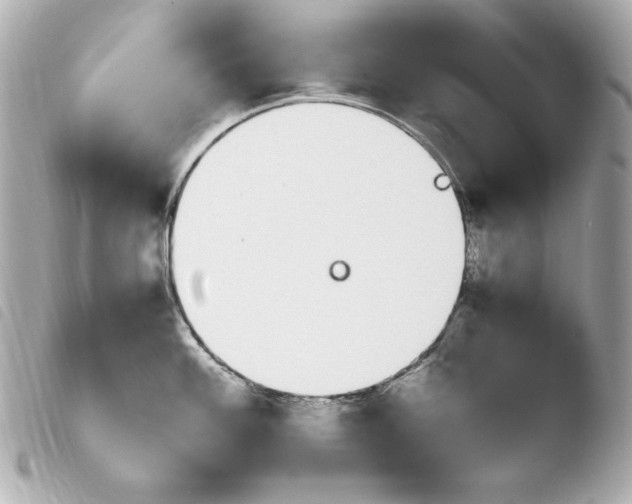 X0000103941100200810031316