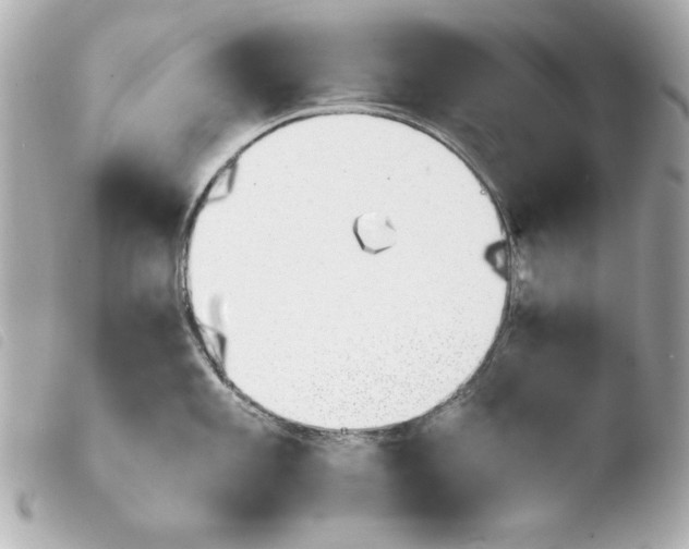 X0000103941101200810031316