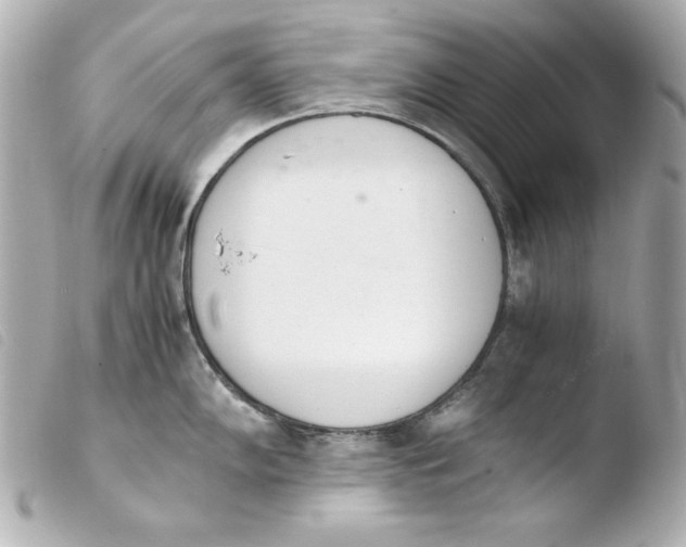 X0000103941102200810031316