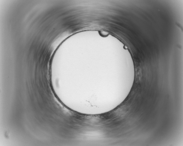 X0000103941103200810031316