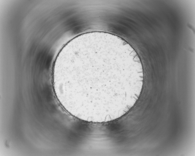 X0000103941104200810031316