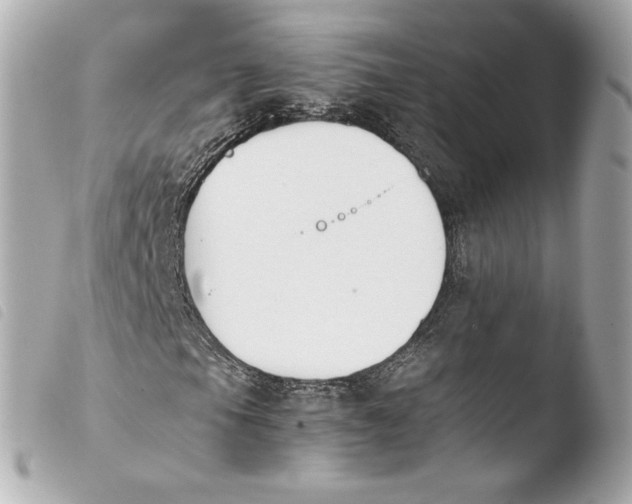 X0000103941105200810031315